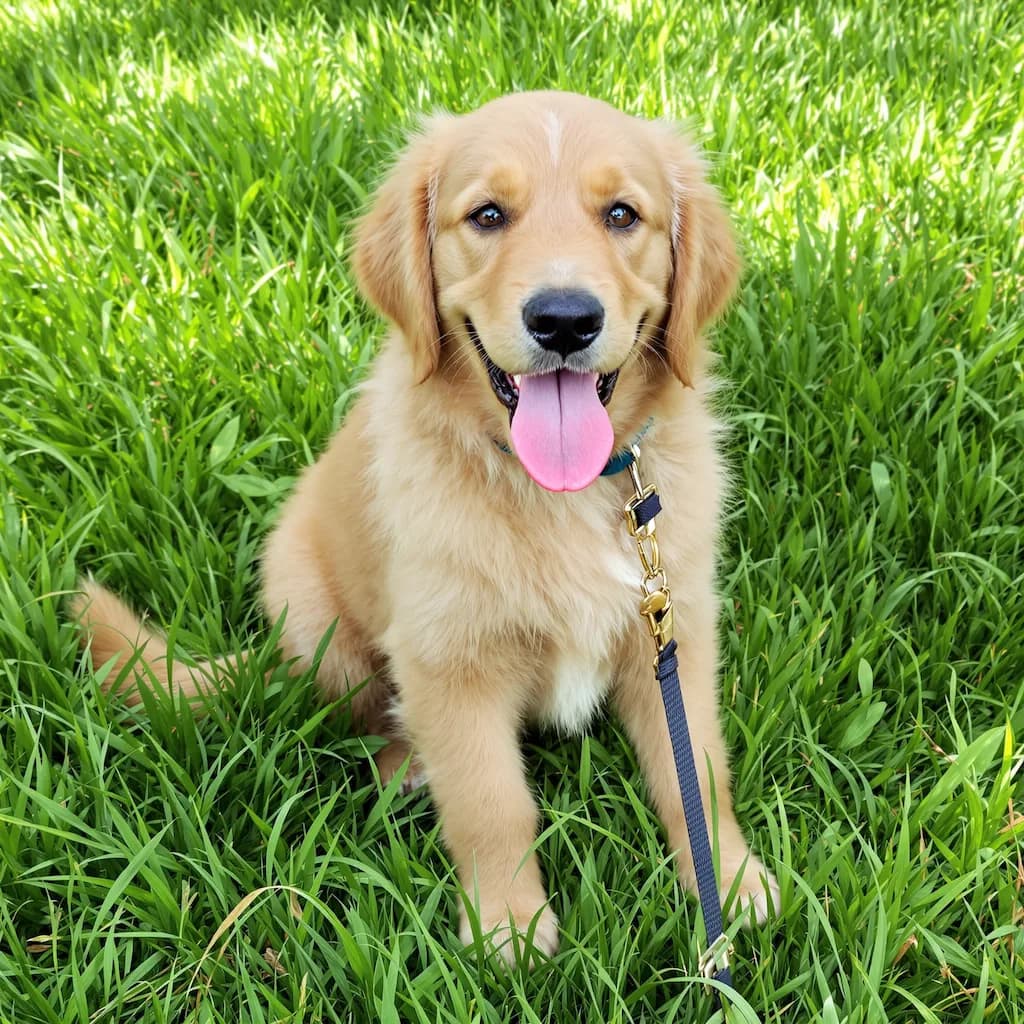 Original photo used as input (example 3)