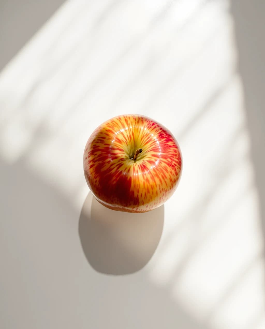 Original photo used as input (example 3)